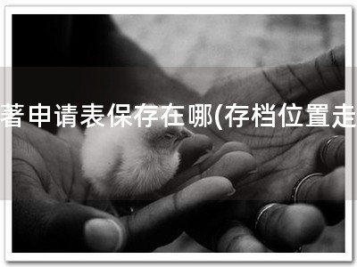 软著申请表保存在哪(存档位置走查)