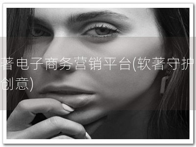 软著电子商务营销平台(软著守护你的创意)