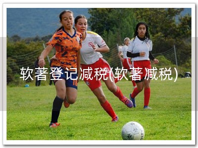 软著登记减税(软著减税)
