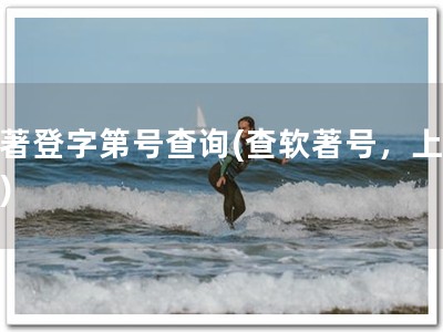 软著登字第号查询(查软著号，上网站)