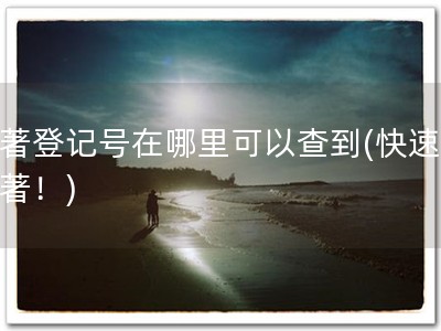 软著登记号在哪里可以查到(快速查软著！)