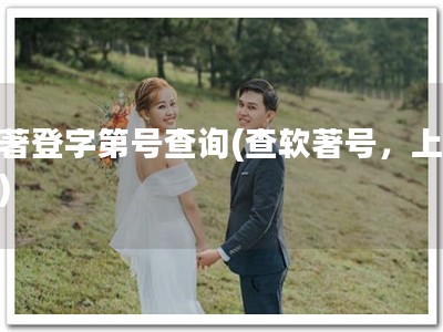 软著登字第号查询(查软著号，上网站)