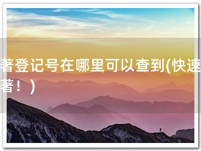 软著登记号在哪里可以查到(快速查软著！)