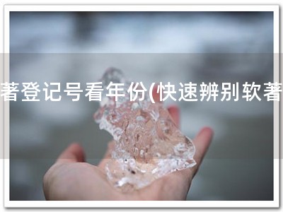 软著登记号看年份(快速辨别软著！)