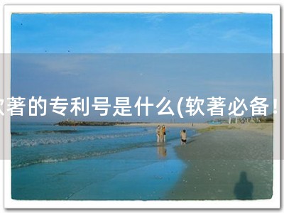 软著的专利号是什么(软著必备！)