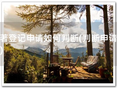 软著登记申请如何判断(判断申请软著)