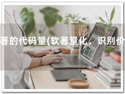 软著的代码量(软著量化，识别价值)