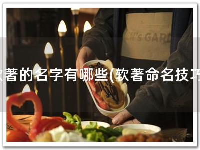 软著的名字有哪些(软著命名技巧)