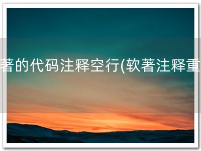 软著的代码注释空行(软著注释重要)