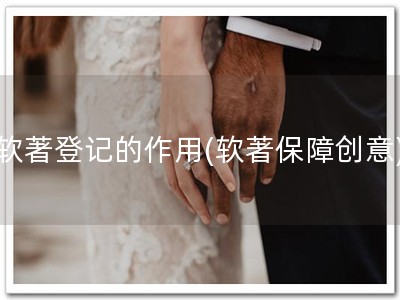 软著登记的作用(软著保障创意)