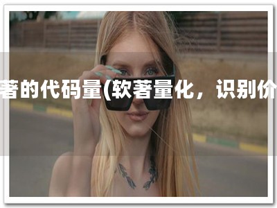 软著的代码量(软著量化，识别价值)