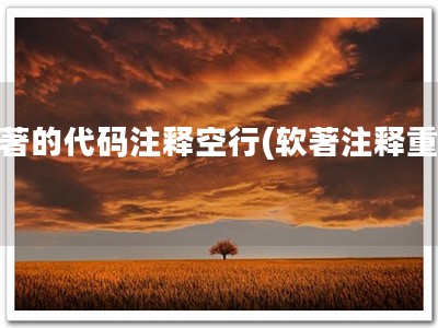 软著的代码注释空行(软著注释重要)