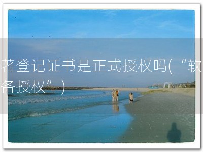 软著登记证书是正式授权吗(“软著必备授权”)