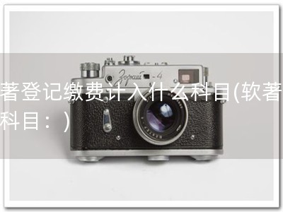 软著登记缴费计入什么科目(软著支付科目：)