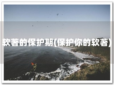 软著的保护期(保护你的软著)