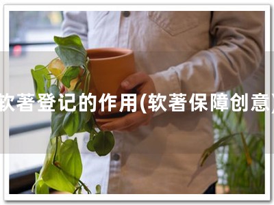 软著登记的作用(软著保障创意)