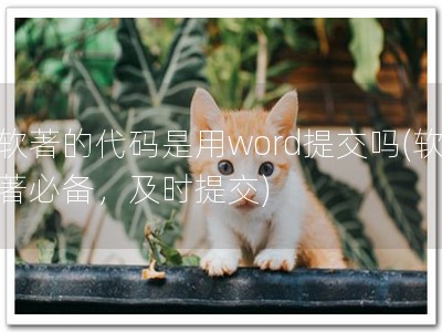 软著的代码是用word提交吗(软著必备，及时提交)