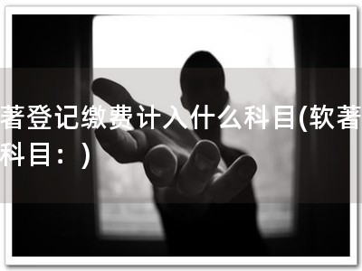 软著登记缴费计入什么科目(软著支付科目：)