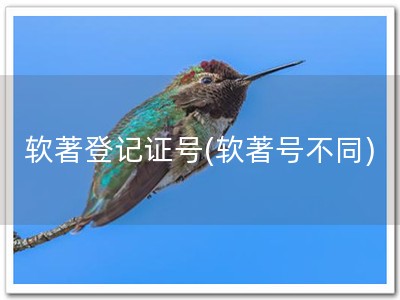 软著登记证号(软著号不同)