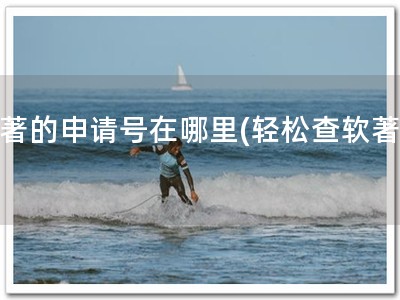 软著的申请号在哪里(轻松查软著！)
