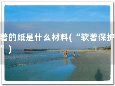 软著的纸是什么材料(“软著保护你！”)