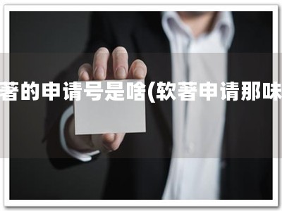 软著的申请号是啥(软著申请那味道)