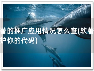 软著的推广应用情况怎么查(软著，保护你的代码)