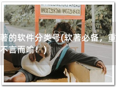 软著的软件分类号(软著必备，重要性不言而喻！)