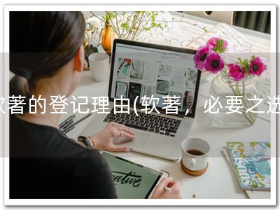 软著的登记理由(软著，必要之选)