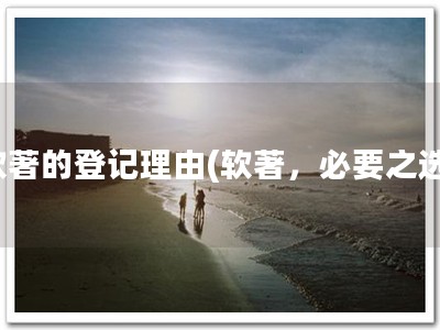 软著的登记理由(软著，必要之选)