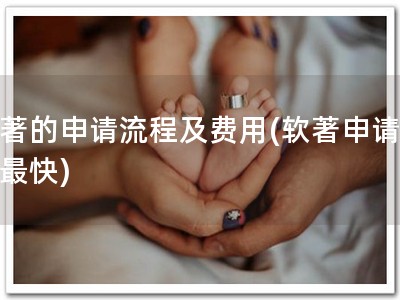 软著的申请流程及费用(软著申请，我最快)