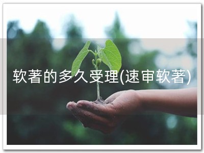 软著的多久受理(速审软著)