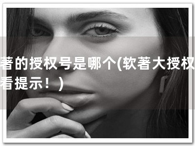 软著的授权号是哪个(软著大授权，必看提示！)