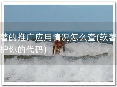 软著的推广应用情况怎么查(软著，保护你的代码)