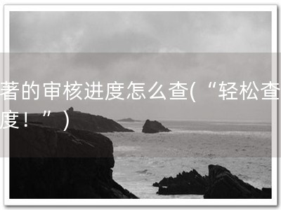 软著的审核进度怎么查(“轻松查询进度！”)