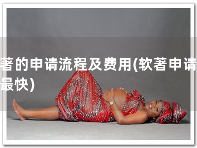 软著的申请流程及费用(软著申请，我最快)