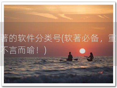 软著的软件分类号(软著必备，重要性不言而喻！)