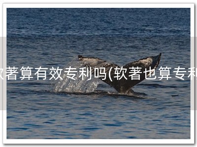 软著算有效专利吗(软著也算专利)