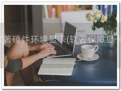 软著硬件环境显卡(软著保障显卡!)