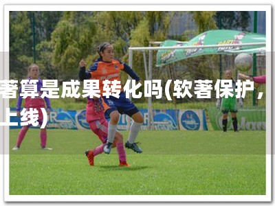 软著算是成果转化吗(软著保护，顺利上线)
