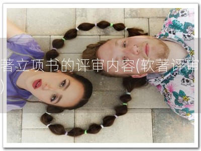软著立项书的评审内容(软著评审要点)
