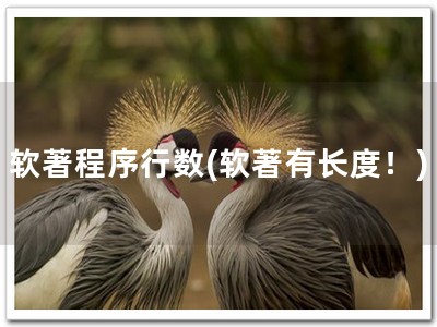 软著程序行数(软著有长度！)