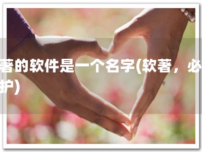 软著的软件是一个名字(软著，必要保护)