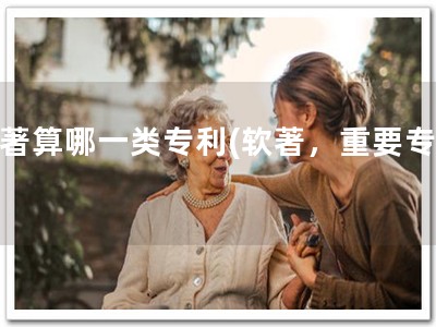 软著算哪一类专利(软著，重要专利)