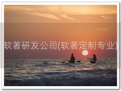 软著研发公司(软著定制专业)