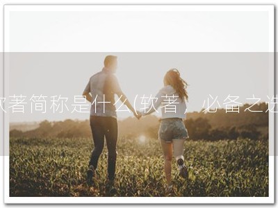 软著简称是什么(软著，必备之选)