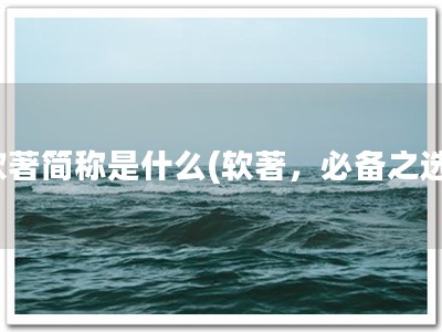 软著简称是什么(软著，必备之选)