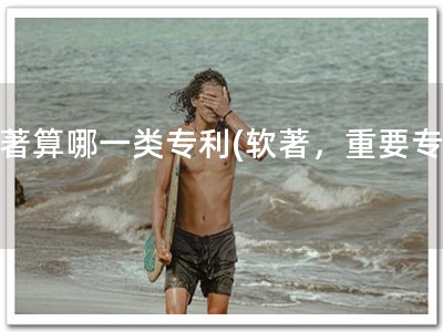 软著算哪一类专利(软著，重要专利)