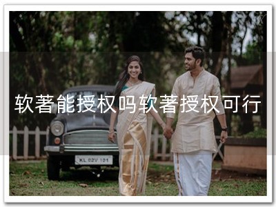 软著能授权吗软著授权可行