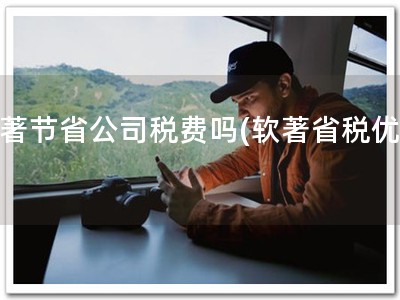 软著节省公司税费吗(软著省税优惠)